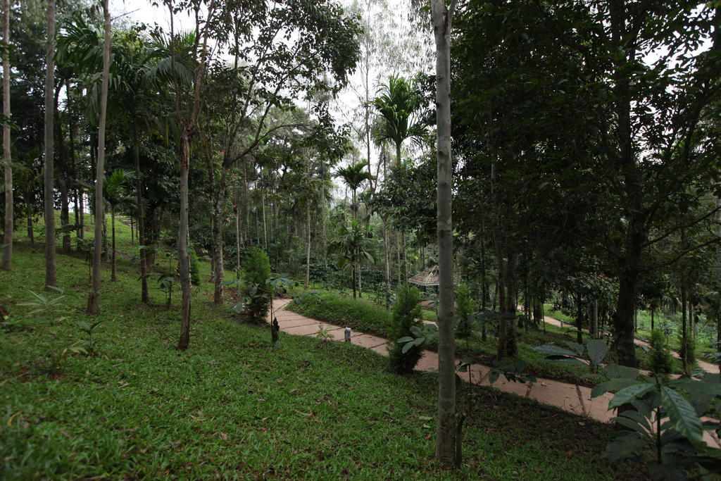 The Woods Resorts Wayanad Sultan Bathery Exterior photo