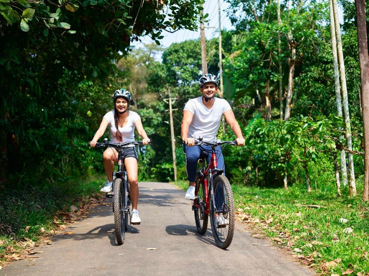 The Woods Resorts Wayanad Sultan Bathery Exterior photo