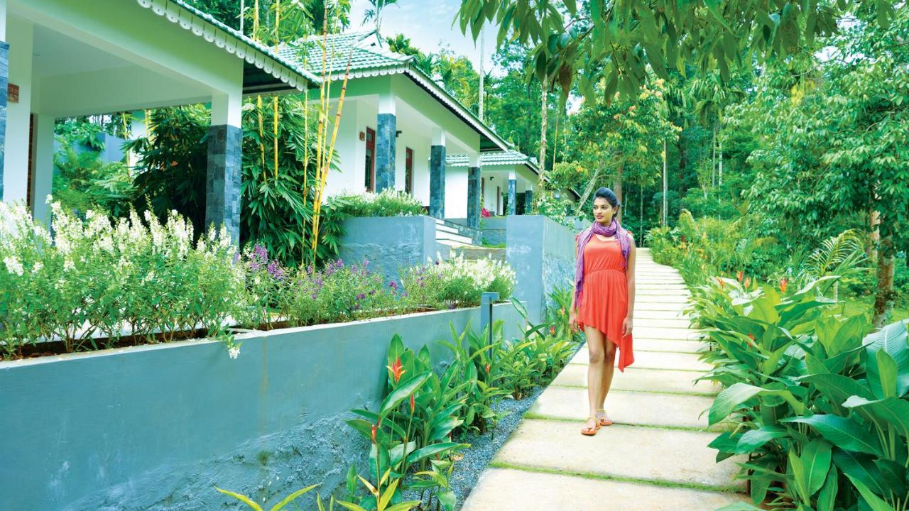 The Woods Resorts Wayanad Sultan Bathery Exterior photo