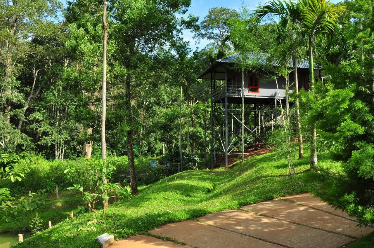 The Woods Resorts Wayanad Sultan Bathery Exterior photo