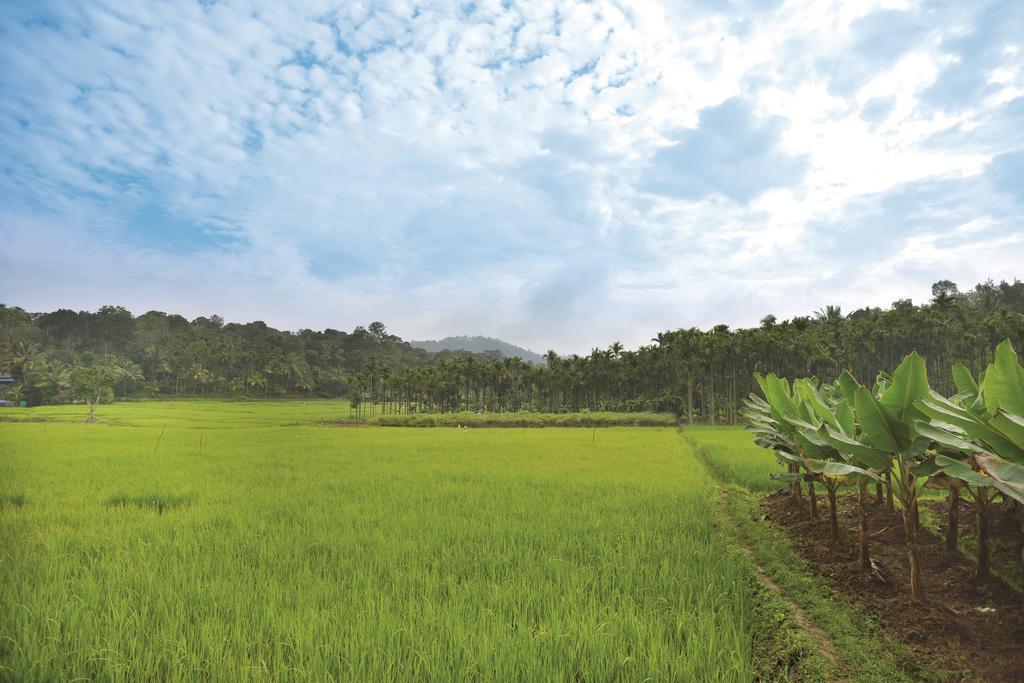 The Woods Resorts Wayanad Sultan Bathery Exterior photo