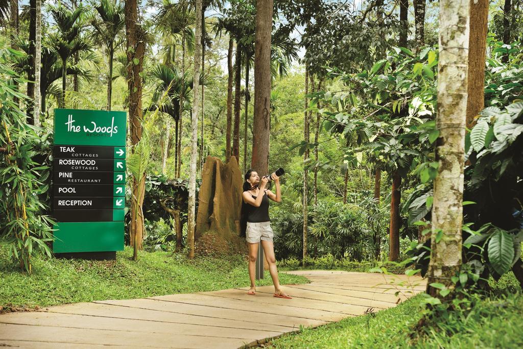 The Woods Resorts Wayanad Sultan Bathery Exterior photo